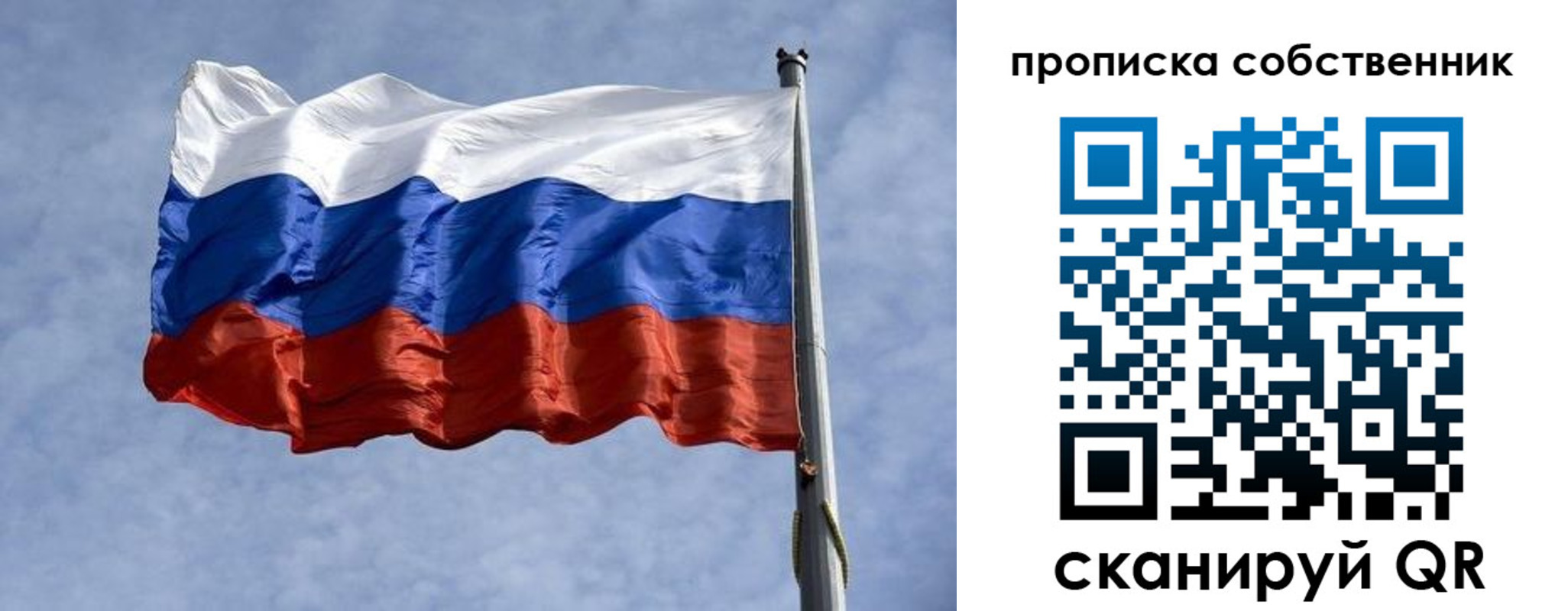 прописка в Сафоново